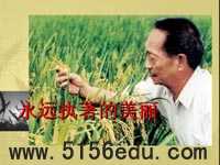 《永远执著的美丽》ppt课件1